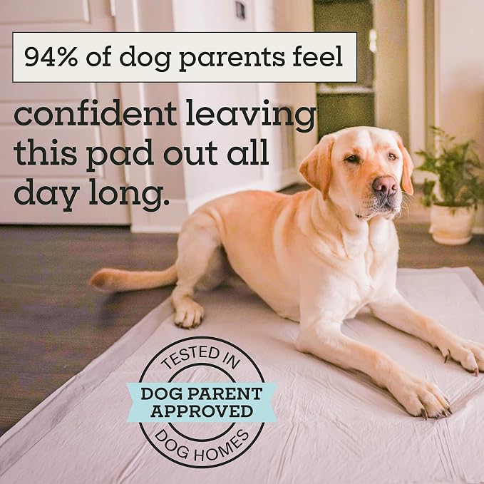 Pet Life Unlimited Heavy Duty 3XL Puppy Pads for Dogs, Potty Training Pee Pads, 52 Count, 36" x 36", Leak-Proof, Super Absorbent, Quick-Dry, Odor Control Clover Leaf Scent, Made in USA