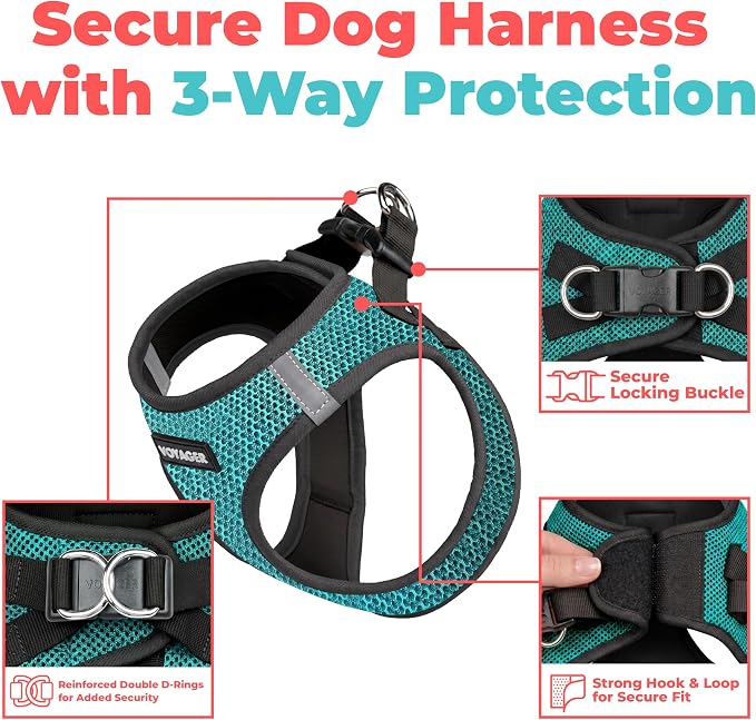 Voyager Step-in Air Dog Vest Harness - Turquoise 2-Tone, Small | 14.5-16" in Chest, Reflective Bands, All Weather Breathable Air Mesh, Cats Compatible, Lightweight, Fast Drying