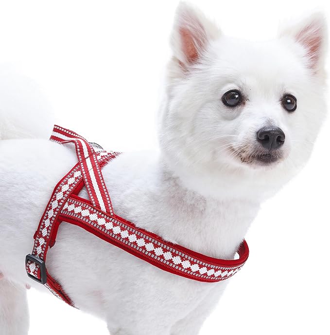 Blueberry Pet 4 Colors Soft & Comfy 3M Reflective Jacquard Padded Dog Harness, Chest Girth 30" - 38.5", Marsala Red, Large, Adjustable Harnesses for Dogs