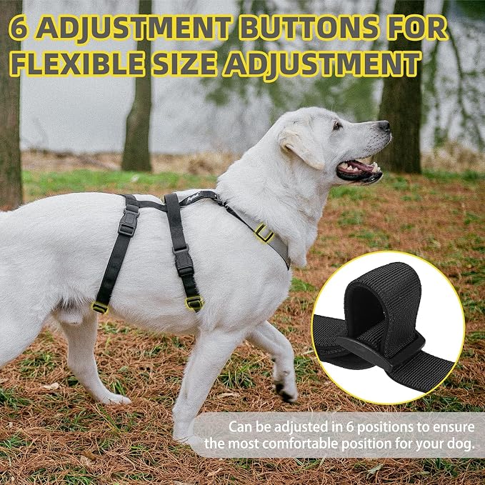 PUPTECK Escape Proof Dog Harness - No Pull Soft Padded Full Body Pet Halter Harness with Lift Handle for Small Medium Large Doggies Walking Hiking Hunting, SnowWhite & Black, M