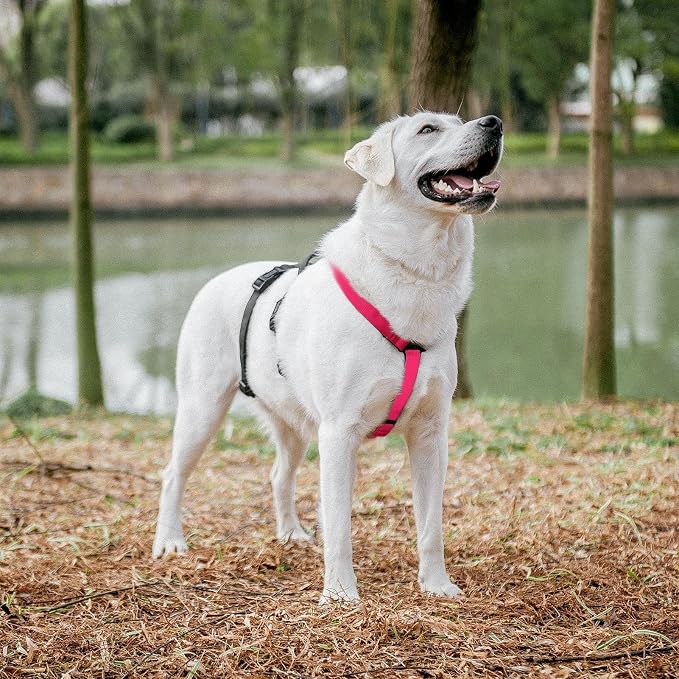 PUPTECK Escape Proof Dog Harness - No Pull Soft Padded Full Body Pet Halter Harness with Lift Handle for Small Medium Large Doggies Walking Hiking Hunting, Deep Pink & Black, XL