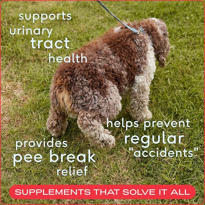 Native Pet Air Dried Chew Sampler - Calming, Allergy, Dog UTI Treatment & Anti-Inflammatory Chews for Dogs - 30 Count Each