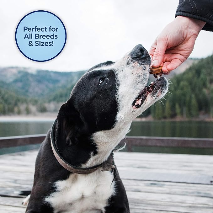 Natural Balance Limited Ingredient Mini-Rewards Chicken Grain-Free, Training Treats for Dogs | 5.3-oz. Canister (Pack of 2)
