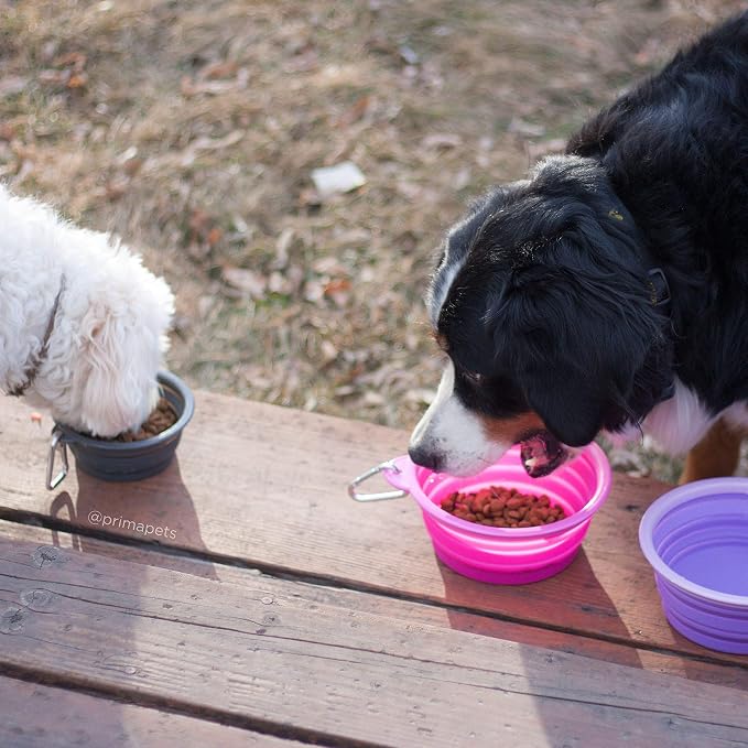 Collapsible Silicone Travel Dog & Cat Bowl with Carabiner, Large, Pink