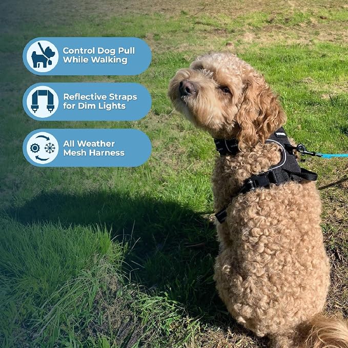 Voyager Dual Attachment No Pull Harness - Black, Medium | 20 - 25" in Chest, No Pull Dog Harness, Fully Adjustable, 3M Reflective Technology, Front & Back D-Rings, Walking & Training