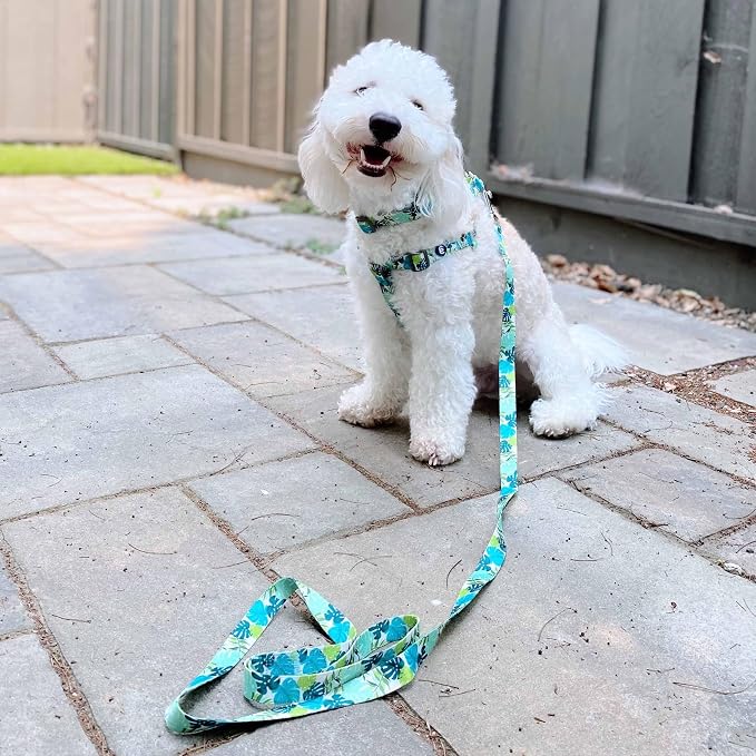 Blueberry Pet Essentials Step-in Spring Scent Inspired Garden Floral Dog Harness in Light Purple, Chest Girth 16.5" - 21.5", Small, Adjustable Harnesses for Dogs