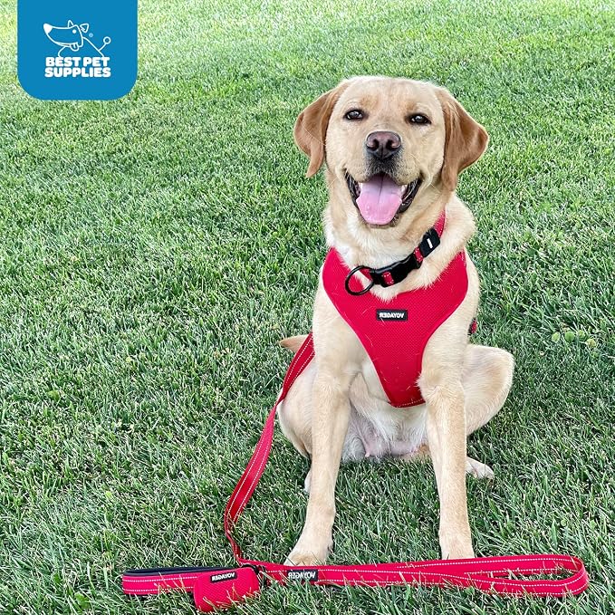 Air Frontier Mesh Dog Harness with Steel Leash D-Ring, Reflective Stitching, and Lightweight Breathable No-Pull Design, Adjustable Neck and Chest Straps for Small to Large Breeds - RDW, XS