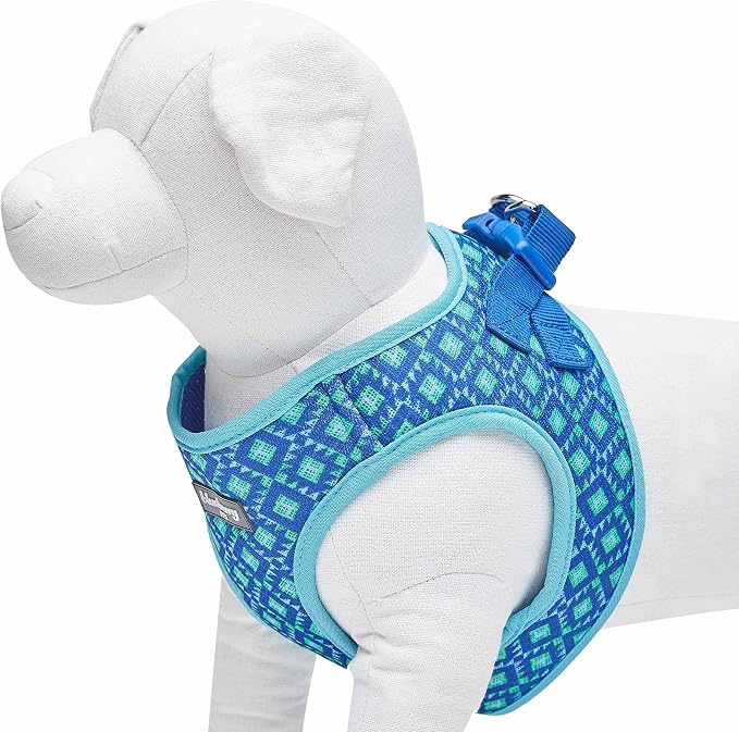 Blueberry Pet Southwestern Tribal Lozenges Stylish Green Dog Harness Vest, XS, Adjustable Harnesses for Puppies Small Dogs