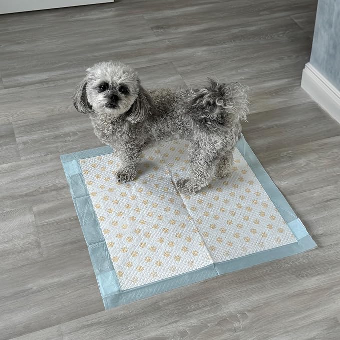 Spot Dr. Bales Early Detection Health Monitoring Pee Pads- Puppy Pee Pads with Color-Changing Paw Prints Indicating Your Dog’S Urine Ph Level, Super Absorbent, Leak Proof, 22in x 22in, 100 Pack