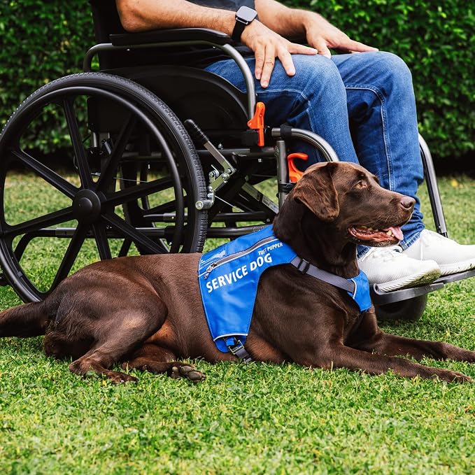 Tuff Pupper Service Dog Vest with ID Pocket | No Leash Attachment | Quick-Release Magnetic Buckles | Reflective Trim | Adjustable Fit | Comfortable & Durable | Designed for Small Dogs (Blue, Large)