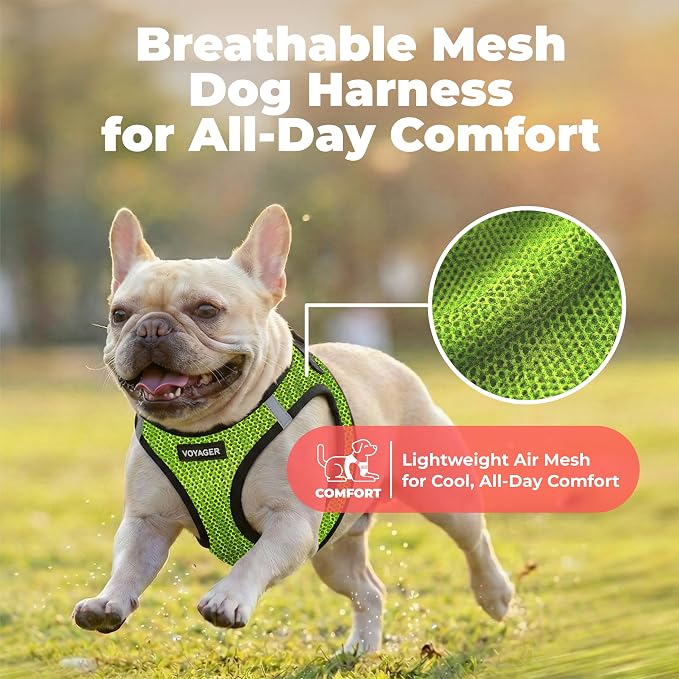 Voyager Step-in Air Dog Vest Harness - Lime Green 2-Tone, X-Small | 13 - 14.5" in Chest, Reflective Bands, All Weather Breathable Air Mesh, Cats Compatible, Lightweight, Fast Drying