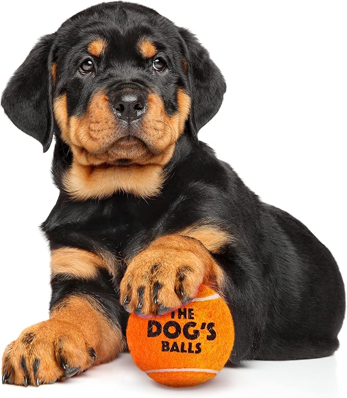 The Little Dog’s Balls Small Dog Tennis Balls 6-Pack Orange Floats in Water | Our fetch balls combine non-abrasive felt exterior and a thicker rubber core Durable Dog Toy for Outdoor Play & Training