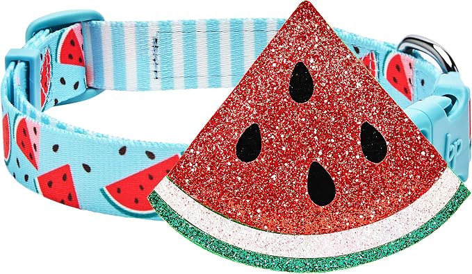 Blueberry Pet Summer Sparkle Dog Collar, Adjustable Small Size, Neck 12"-16", Zesty Fruit Watermelon Blue, Pet Collar with Detachable Accessory