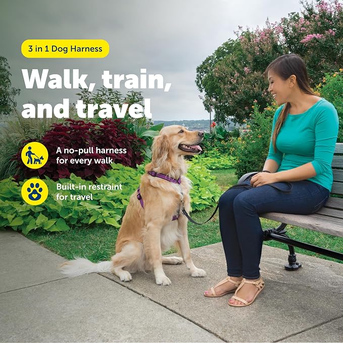 PetSafe 3 in 1 Harness - Fully Adjustable No-Pull Dog Harness - From the Makers of the Easy Walk Harness - Large, Plum | Rests on Chest Not Throat to Reduce Pulling, 5 Adjustment Points, Car Restraint Seatbelt Loop, Reflective Nylon for Low Light