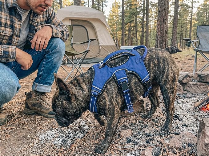 Tuff Pupper Escape Proof No Escape Dog Harness | 5 Point Adjustable Fit Harness for Dogs | Padded Dog Harnesses | Handle Dog Lift Harnesses