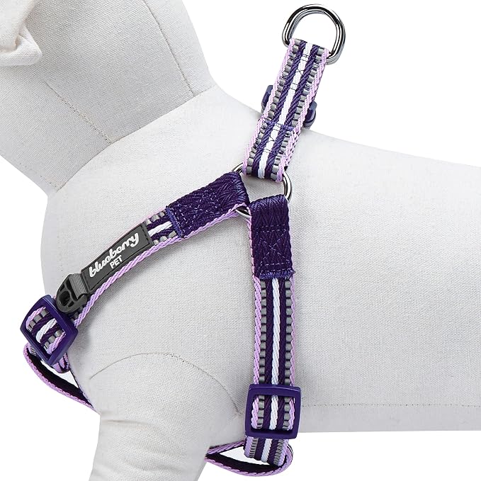 Blueberry Pet 5 Colors Step-in 3M Reflective Multi-Colored Stripe Padded Dog Harness, Chest Girth 26" - 39", Orchid & Lavender, Large, Adjustable Harnesses for Dogs