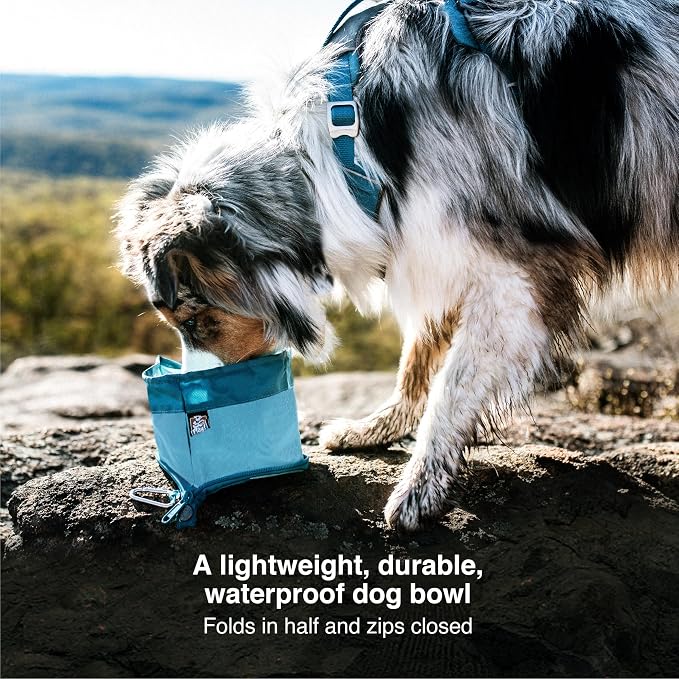 Kurgo Zippy Bowl for Dogs, Collapsible Travel Bowl, 48oz, Coastal Blue