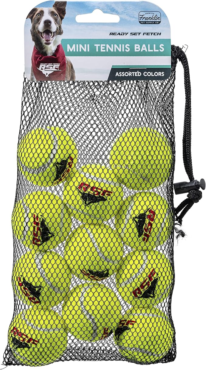 Franklin Sports Ready Set Fetch Mini Squeaker Tennis Ball - 12 Pack | Fun Noise-Making Feature, Tough + Durable Build, Great For Active Playtime, Ideal For Small Breed Pets