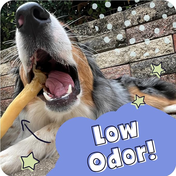 Pawstruck Natural Large 10-13” Beef Collagen Braids for Dogs – Long-Lasting Rawhide & Bully Stick Alternative, with Chondroitin & Glucosamine – 3 Pack