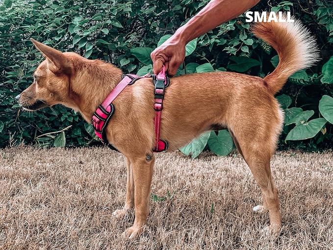 Tuff Pupper No Pull Easy Walk Dog Harness | Heavy Duty Pet Vest | Front & Back Leash Clips | Strong Safety Handle | Reflective Anti Pull Vest | Comfortable Padded Escape Proof Harness (Small, Pink)