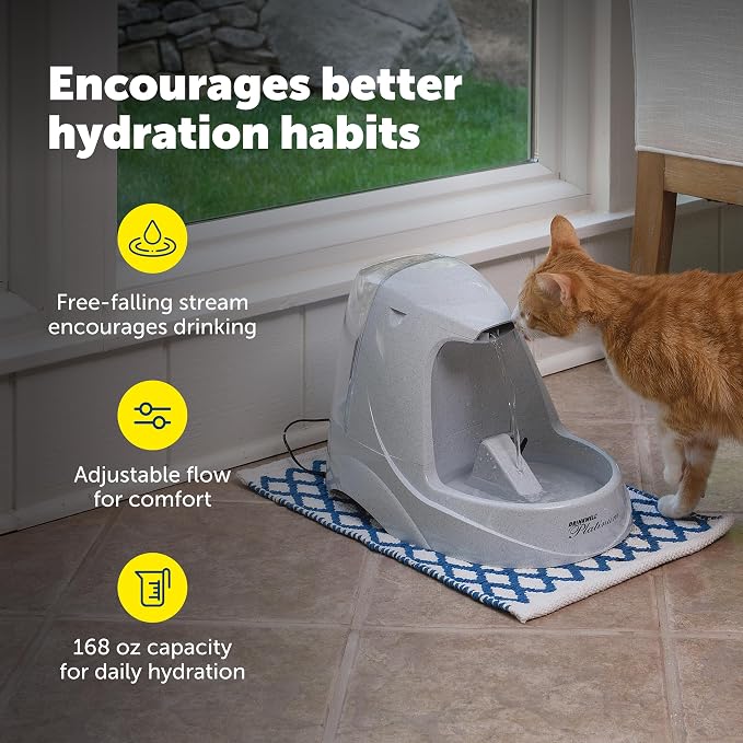 PetSafe Drinkwell Platinum Cat Water Fountain - Pet Fountain for All Pet Sizes, Encourages More Drinking, Includes 12-Pack of Replaceable Carbon Filters, Indoor Use, Grey (168 oz/5L)