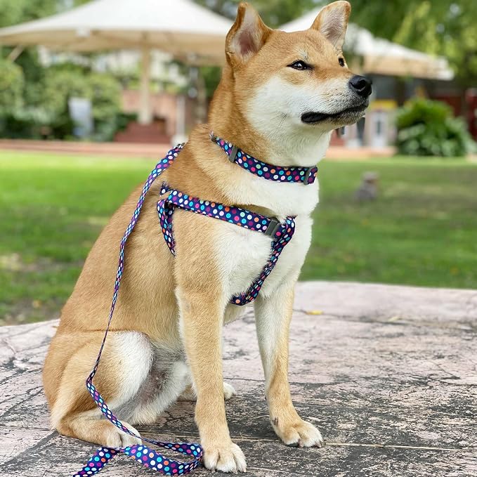 Blueberry Pet Valentine's Day Dog Leash, Velvety Soft-Touch Heart Flocking Lead for Large Dogs, Rainbow Polka Dots, 4 ft x 1"