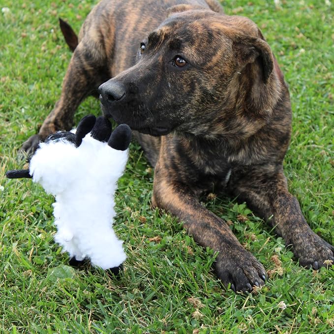 SPOT Baa Baa Black Sheep Plush Dog Toy - Cute and Cuddly Fleece Toy with Squeaker for Small Dogs and Puppies, 8in Black and White Lamb