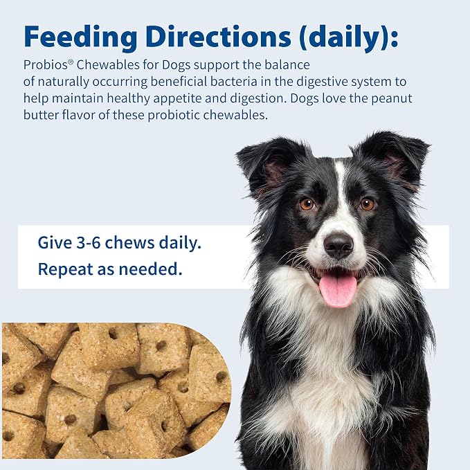 Probios Digestive Support Dog Chewables, 1 lb