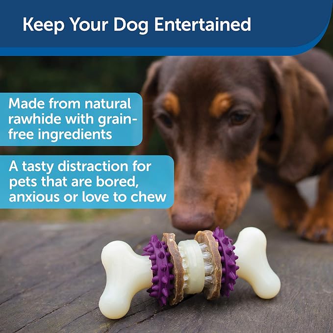 PetSafe Treat Rings - 16 Rings - Size B - Original & Busy Buddy Bristle Bone - Treat-Holding Toy for Dogs - Purple, Large