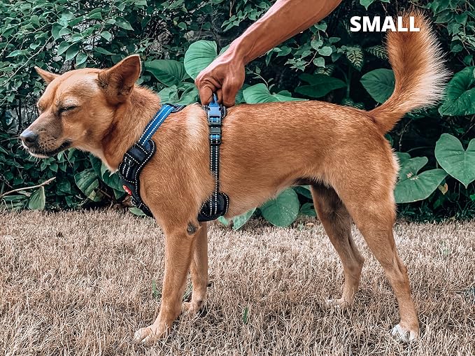 Tuff Pupper No Pull Easy Walk Dog Harness | Heavy Duty Pet Vest | Front & Back Leash Clips | Strong Safety Handle | Reflective Anti Pull Vest | Comfortable Padded Escape Proof Harness (Small, Blue)