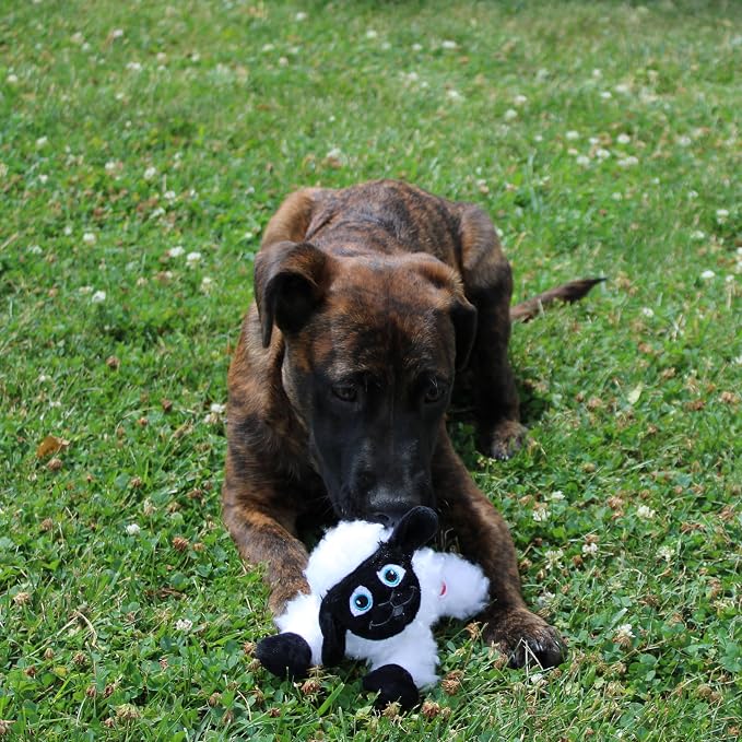 SPOT Baa Baa Black Sheep Plush Dog Toy - Cute and Cuddly Fleece Toy with Squeaker for Small Dogs and Puppies, 8in Black and White Lamb