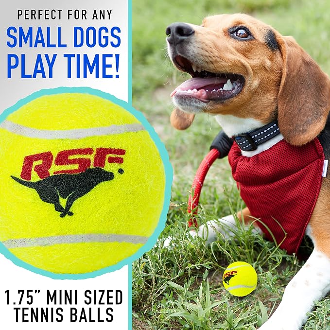 Franklin Sports Ready Set Fetch Mini Squeaker Tennis Ball - 12 Pack | Fun Noise-Making Feature, Tough + Durable Build, Great For Active Playtime, Ideal For Small Breed Pets