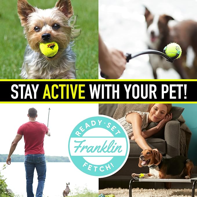 Franklin Sports Ready Set Fetch Mini Squeaker Tennis Ball - 12 Pack | Fun Noise-Making Feature, Tough + Durable Build, Great For Active Playtime, Ideal For Small Breed Pets