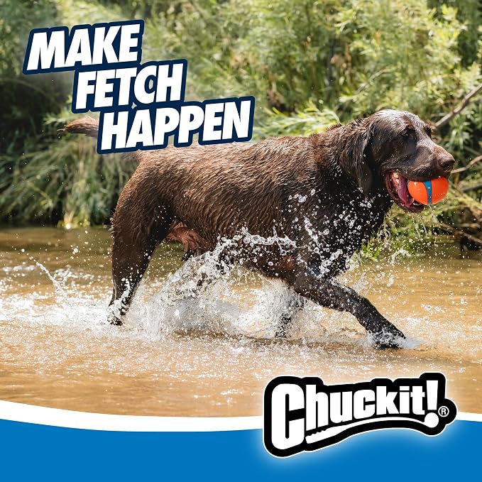 Chuckit! Ultra Ball Dog Toy, Size XXL, 4-in Diameter, for Dogs 100+lbs | Extra-Thick Rubber Core Delivers High Bounce and Buoyancy, Floats in Water and Is Compatible with Chuckit! Launchers