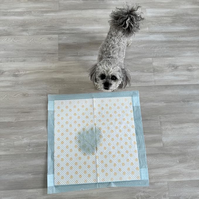 Spot Dr. Bales Early Detection Health Monitoring Pee Pads- Puppy Pee Pads with Color-Changing Paw Prints Indicating Your Dog’S Urine Ph Level, Super Absorbent, Leak Proof, 22in x 22in, 50 Pack