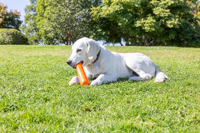 Chuckit! Super Crunch Fetch Stick Dog Toy, Durable TPR, Breeds 20-100 lbs | Enticing sound effects keep play exciting, mentally and physically engaging for medium and large sized pups, 9.2 inches long