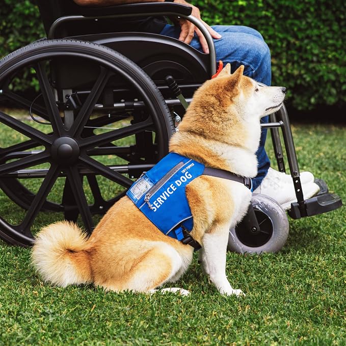 Tuff Pupper Service Dog Vest with ID Pocket | No Leash Attachment | Quick-Release Magnetic Buckles | Reflective Trim | Adjustable Fit | Comfortable & Durable | Designed for Small Dogs (Blue, Small)