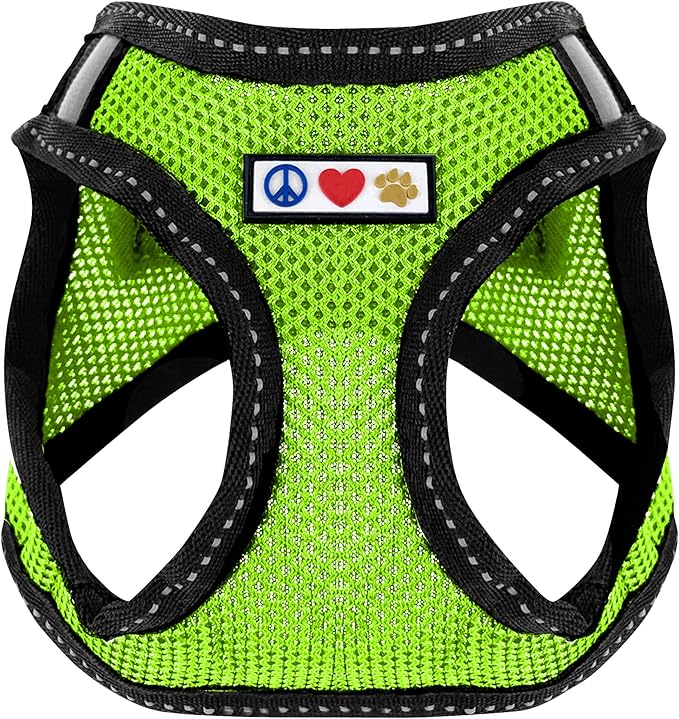 Pawtitas Dog Vest Harness Made with Breathable Air Mesh | All Weather Vest Harness for Extra Large Dogs with Quick-Release Buckle - Green Mesh Dog Harness for Training and Walking Your Pet.