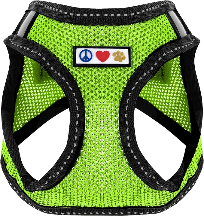 Pawtitas Dog Vest Harness Made with Breathable Air Mesh | All Weather Vest Harness for Extra Extra Small Puppies and Cats with Quick-Release Buckle - Extra Extra Small Green Mesh Dog Harness