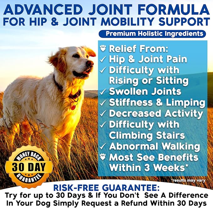 Well Loved Glucosamine for Dogs, Dog Joint Supplement, Hip & Joint Chews