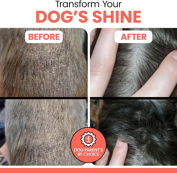 Alaskan Salmon Oil for Dogs and Cats 8oz - Fish Oil Omega 3 EPA & DHA for Skin and Coat, Shedding, Itchy Skin and Allergies, Joint Support - Liquid with Pump, MSC Certified, Made in USA - Chew + Heal