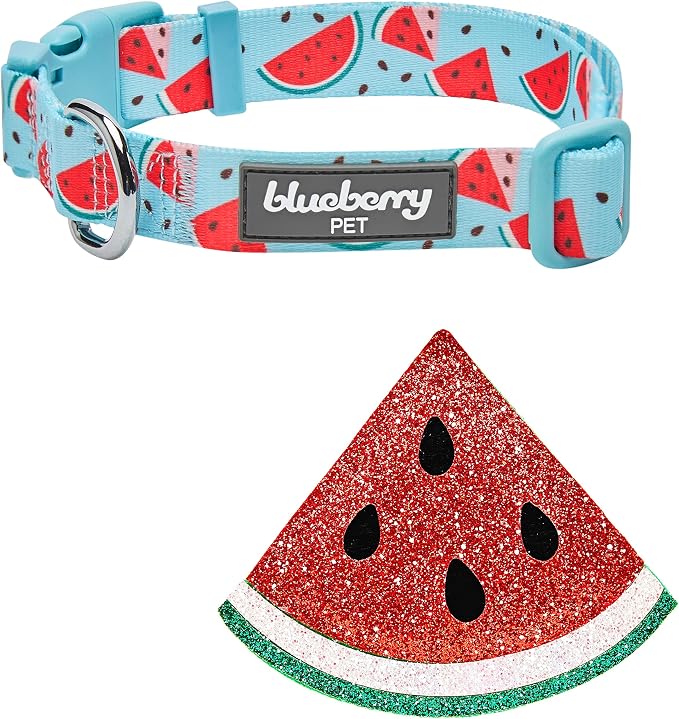 Blueberry Pet Summer Sparkle Dog Collar, Adjustable Medium Size, Neck 14.5"-20", Zesty Fruit Watermelon Blue, Pet Collar with Detachable Accessory