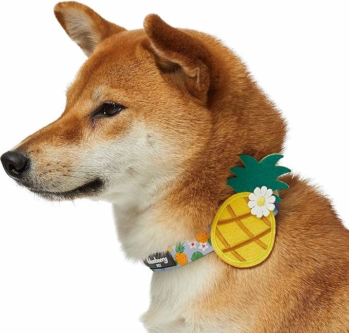 Blueberry Pet Nutritious Pineapple Adjustable Dog Collar with Detachable Accessory, Large, Neck 18"-26"