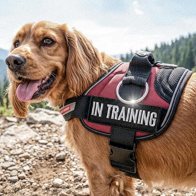 Tuff Pupper Fast Fit No Pull Dog Harness, Escape Proof, Reflective, Grey