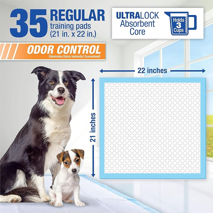 RUFFIN' IT 7N82006 Training Pads for Housebreaking Puppies, One Size (35 Pads)