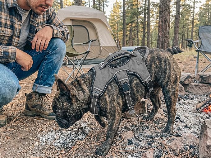 Tuff Pupper Escape Proof No Escape Dog Harness | 5 Point Adjustable Fit Harness for Dogs | Padded Dog Harnesses | Handle Dog Lift Harnesses
