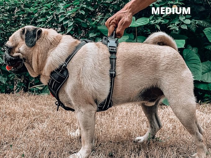 Tuff Pupper No Pull Easy Walk Dog Harness | Heavy Duty Pet Vest | Front & Back Leash Clips | Strong Safety Handle | Reflective Anti Pull Vest | Comfortable Padded Escape Proof Harness (Medium, Black)