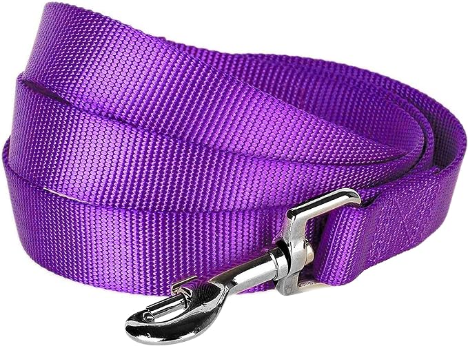 Blueberry Pet Essentials Dark Orchid Dog Leash for Medium - 5' * 3/4" Dogs | Heavy Duty Nylon Lead | Lightweight Puppy & Cat Leash for Walking & Training