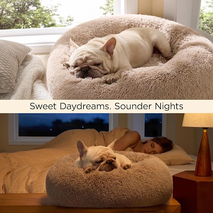 Bedsure Calming Small Dog Bed Donut Washable Cat&Puppy Bed,23 inches 2 Pack