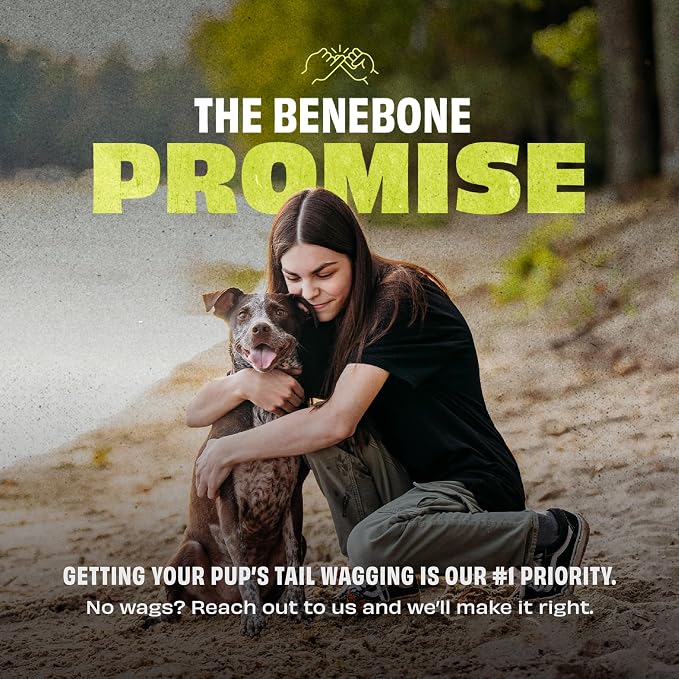 Benebone Natural Rubber Ball, 2-Pack | Natural Rubber, Extra Bouncy, Tooth-Friendly, Great for Fetch, Boredom Buster, Dishwasher Safe, Long-Lasting